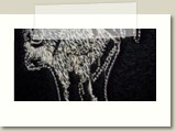 081008-117X300X300